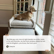 Pet Office Chair — Sloped Seat Designed for Comfort