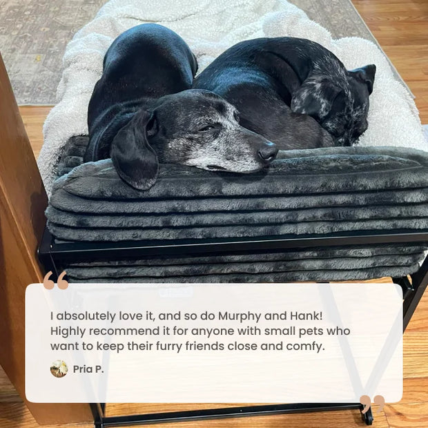Pet Office Chair — Sloped Seat Designed for Comfort