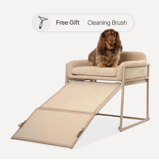 Pet Office Chair — Sloped Seat Designed for Comfort